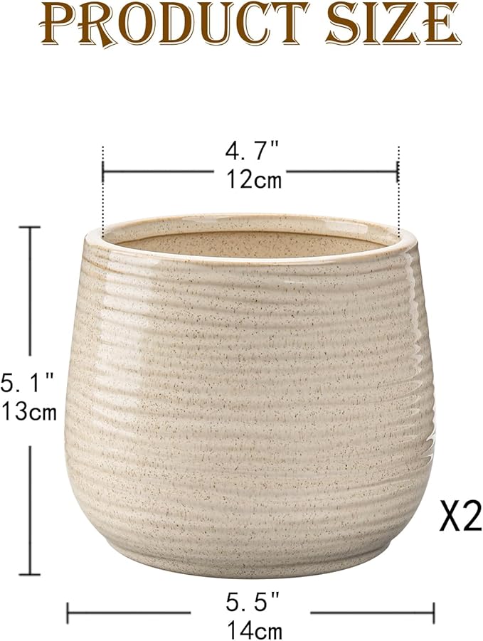 Ceramic Plant Pots 6 Inch Set of 2, Flower Plants Pot with Drainage Holes White Planter Garden Pot for Succulent Cactus Home Decoration Gift Indoor Outdoor