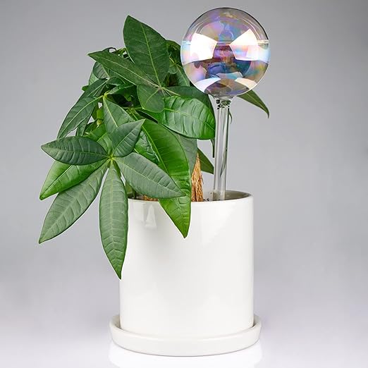 Tomorotec [4 PCS] Light Iridescent Rainbow Gradient Color Clear Glass Self-Watering System Spikes, Automatic Plant Waterer Bulbs