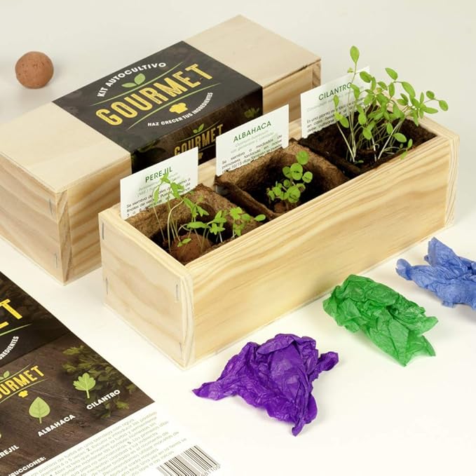 Self-assembly kit, gourmet, parsley, basil and coriander