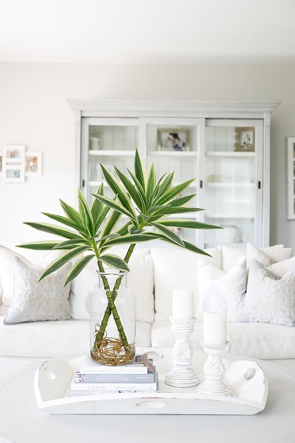 Artificial Plants Stems in Glass Vase with Faux Water,Fake Silk Plant Dracaena Leaves for Centerpiece Table Decorations Farmhouse Wedding Home Greenery Decor (Green and White)