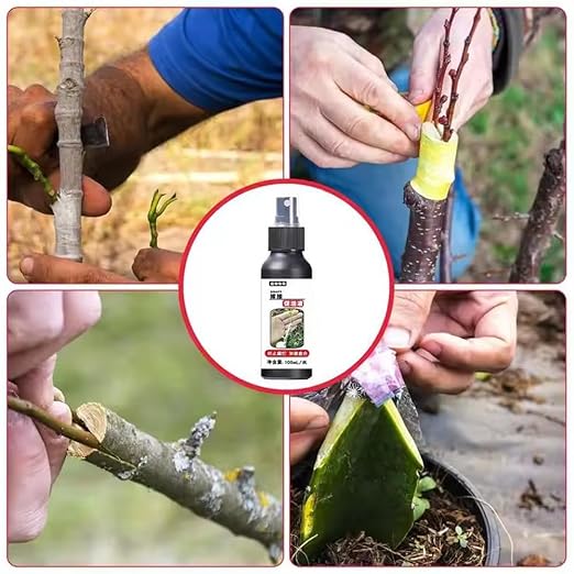 100ml Plant Activation Solution, Plant Growth Enhancer Succulent Root Booster Indoor Plant Fertilizer Plant Nutrient Solution (2Pcs)
