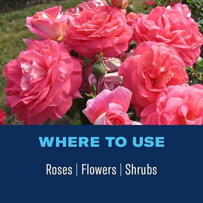BioAdvanced 3-in-1 Insect, Disease and Mite Control, Ready-to-Use, 24 oz with BioAdvanced 2-in-1 Systemic Rose and Flower Care II, Granules, 5 lb