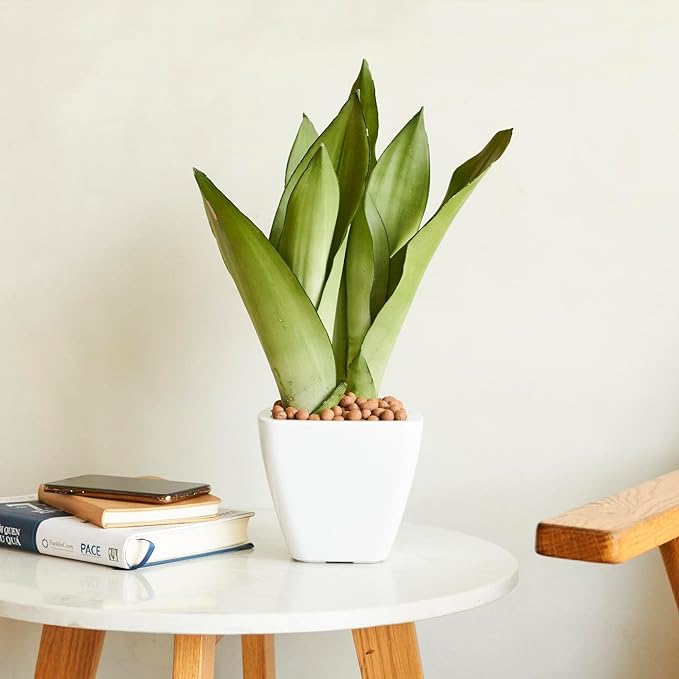 Set of 2, Smart Self-Watering Planters for Indoor and Outdoor -Square, White
