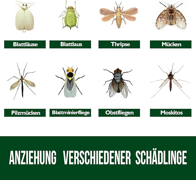 Garsum Fruit Fly Trap Yellow Sticky Fungus Gnat Killer for Indoor and Outdoor Plant