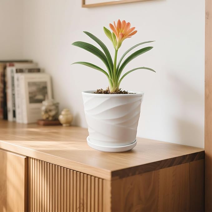 8 Inch Plant Pot,Ceramic Planter with Drainage and Saucer,Ceramic Pots for Plants,Indoor Plant pots,Ceramic Flower pots(Pure White)