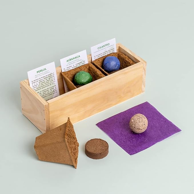 Mini Herb Garden