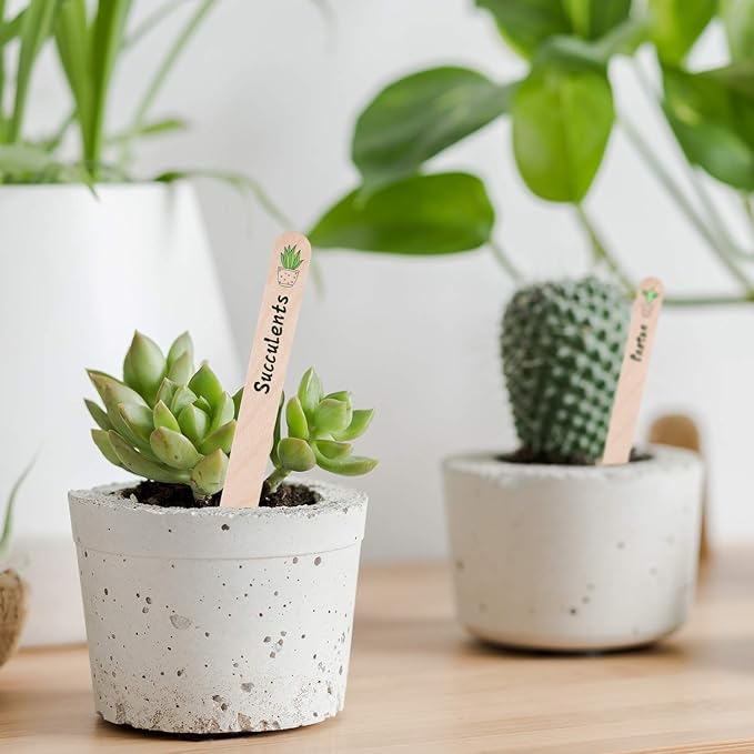 Whaline 200Pcs Wooden Plant Labels Waterproof Round Head Plant Sign Tags Birch Wood Garden Markers for Seed Potted Herbs Flowers Vegetables with 2 Gel Pen, 0.7 x 5.9 Inch