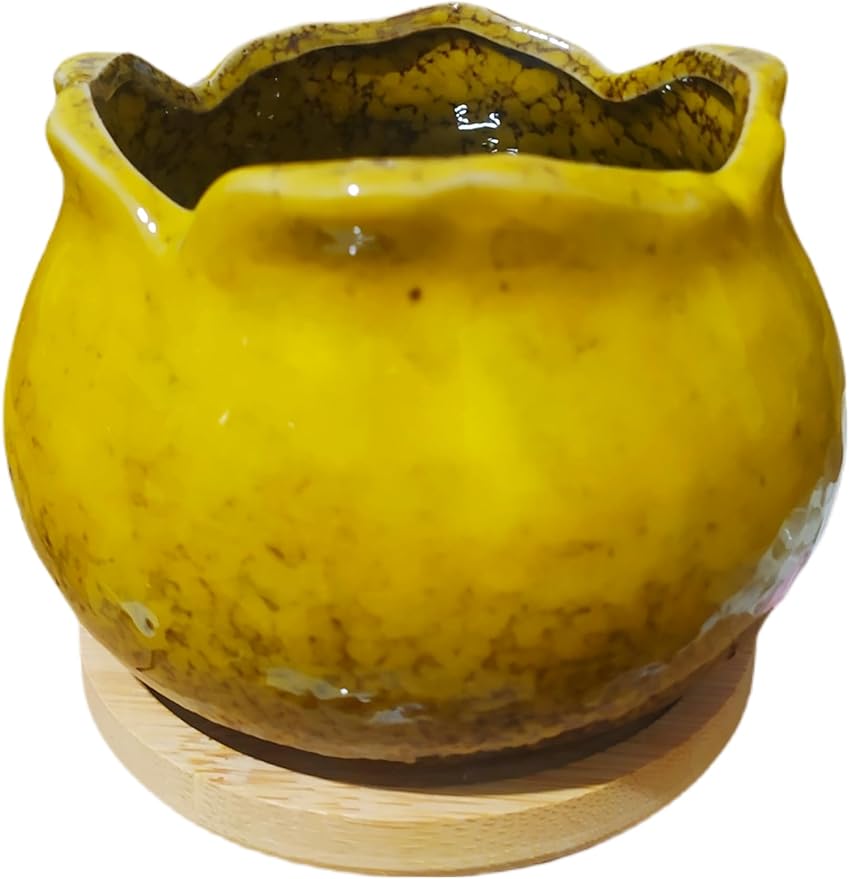 Cute Circular Ceramic Home Garden Decoration Succulent Cactus Flower Pots Container with Bamboo Tray -Plant Not Included (Yellow, 4 Inch)