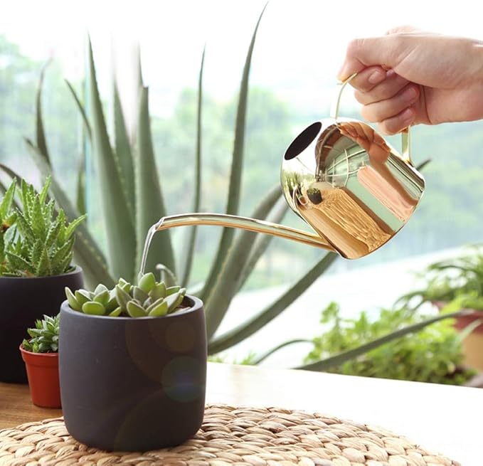 Watering Can, Stainless Steel Watering Can Mini Watering Pot Plant Watering Can with Long Spout Houseplant Potted Watering Can for Outdoor Office Succulent Bonsai Garden Flower Gift 500ml(Gold)