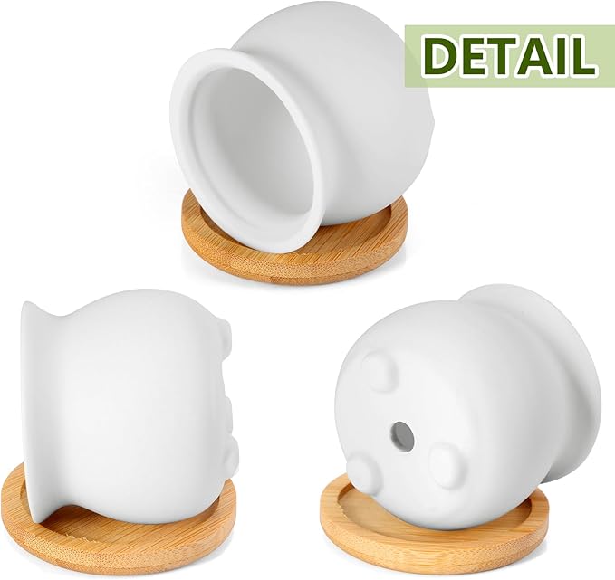 Remerry 24 Pcs 2.5 Inch Mini Succulent Pots with Bamboo Tray White Ceramic Pots Color Your Own DIY Small Planters Containers for Flower Cactus with Drainage Hole for Plant Lover