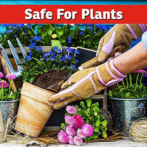 I Must Garden Rabbit Repellent: Mint Scent Rabbit Spray for Plants & Lawns – 1 Gallon Ready to Use Refill