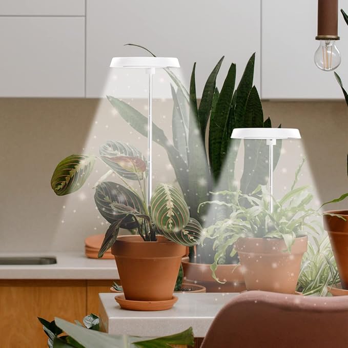 GYTF 3 Pack Halo Grow Light for Indoor Plants, 6000K 48 LEDs Full Spectrum Plant Lamp with Dimmable & Timer 4/8/12/18Hrs for Succulents, Mini Bonsai, Small Plants, Height Adjustable
