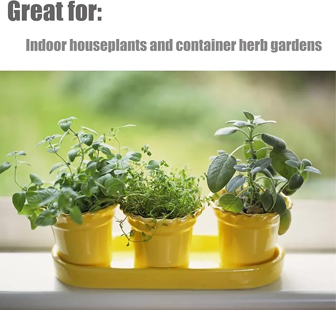 Doter Organic Potting Soil Mix 4qt for All Indoor & Outdoor Small Containers Including Herbs, Vegetables, and Flowers
