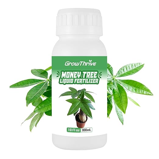 10 oz Organic Money Tree Fertilizer Liquid - Microbial Probiotic Plant Food for Pachira Aquatica & Houseplants - Promotes Root Growth & Green Leaves
