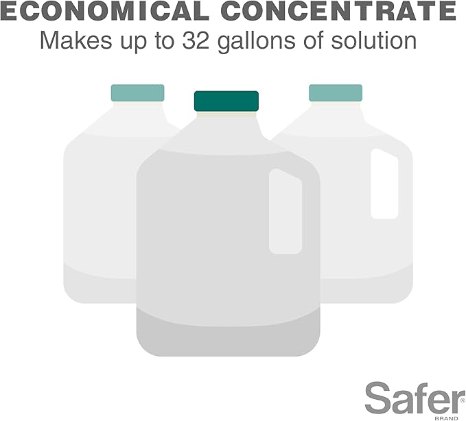 Safer Brand Caterpillar Killer II Concentrate - OMRI Listed for Organic Use - Organic Insect Killer - 16 fl oz bottle - 5163-6
