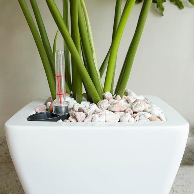 Set of 2, Smart Self-Watering Planters for Indoor and Outdoor -Square, White