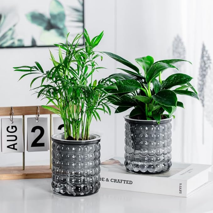 2PCS Self Watering Planters 4.7 Inch Self Watering Pots for Indoor Plants, African Violet Pots with Wick Rope, Flowers, Succulents, Herb, House Plants (Gray)