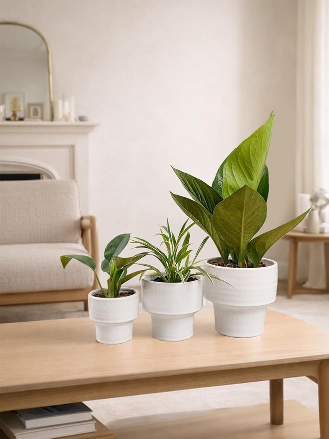 INGOFIN Ceramic Planter Pot Set of 3, 4/5/6 Inch Indoor Decorative Cachepot for Pothos & Succulents, No Drainage Hole, Modern Architectural Plant Display for Contemporary Home Decor, Pockmarks White