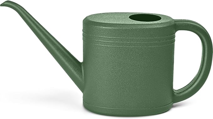 Watering Can - for Indoor and Outdoor Plant Garden - 1/4 Gallon - Green