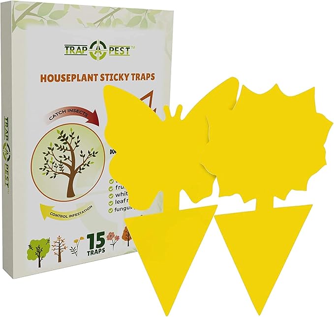 15 pcs Gnat Traps for House Indoor, Fungus Gnat Sticky Traps for Plants, Sticky Traps for Gnats - Plant Sticky Traps for Bugs, Sticky Fly Traps for Plants Trap Fungus Gnat, Fruit Fly and Other Insects