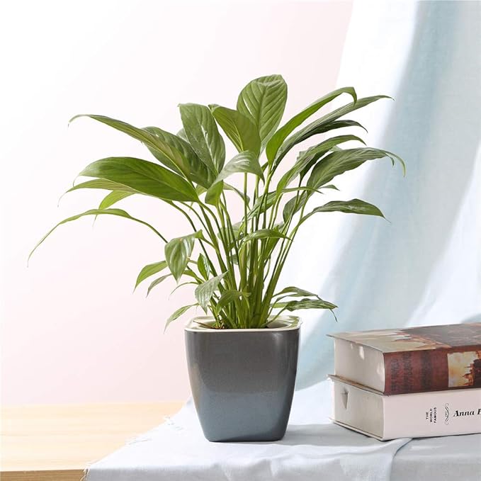 FENGZHITAO Self-Watering Planter, Plastic Automatic-Watering Planter Flower Pot Square-Plant-Pot for All Plants, Succulents, Herb, African Violets, Flowers (Colourful 004)