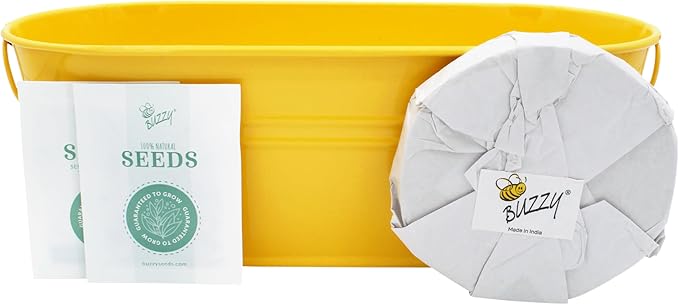 BUZZY Taco Night Grow Kit, Tomato and Cilantro Indoor Gardening Set with Non-GMO Seeds, Coconut Husk Growing Medium, and Yellow Metal Windowsill Planter