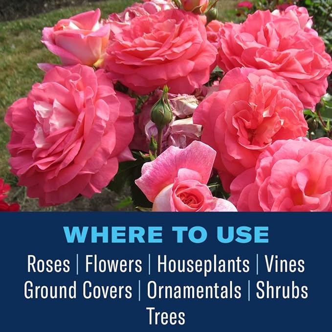 BioAdvanced All-in-One Rose and Flower Spray, Rose Fungicide, Concentrate, 32 Oz