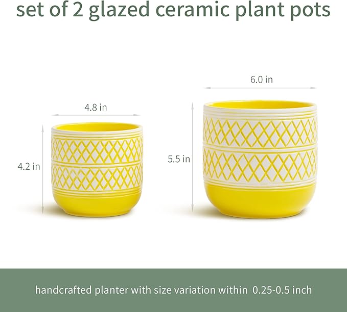 HERDUK Decorative Ceramic Flower Pots Set of 2 – 6 & 4.7 Inch Indoor Plant Pots, Boho Decorative Pots for Plants, Orchid & Succulent Planters with Drainage