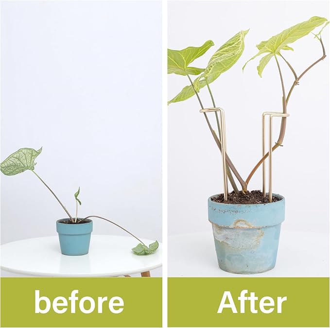 8.7 Inch Indoor Plant Trellis -10 Pack Small Gold Plant Supports for Outdoor Plants, Monstera Trellis Stakes & Stem Holders, Durable Iron Garden Flower Support for Young Plant Growth