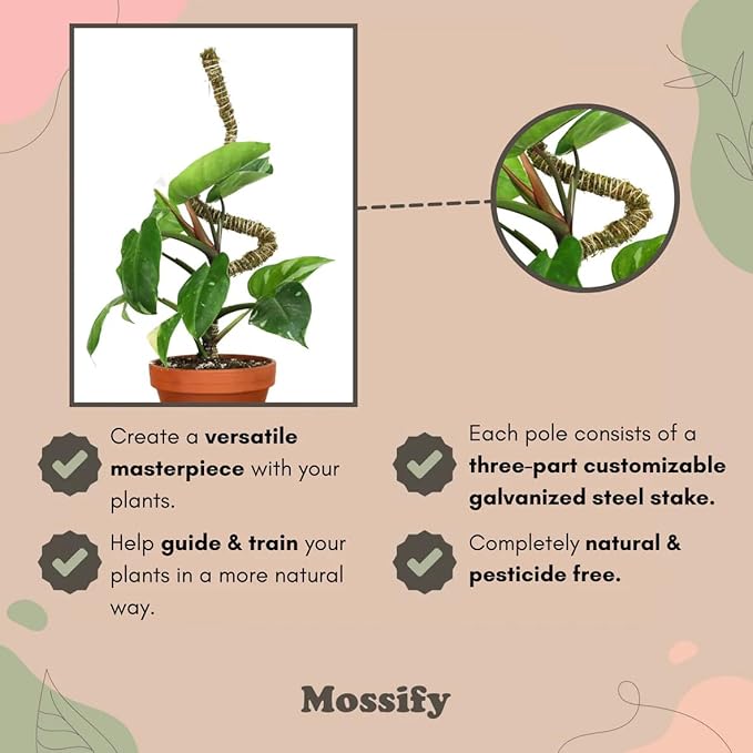 Mossify 16" Thin Bendable Moss Poles – 3-Pack | Flexible Plant Support Stakes for Climbing Plants, Vines, Monstera & Pothos | Natural Coconut Fiber Moss Stick for Indoor & Outdoor Use