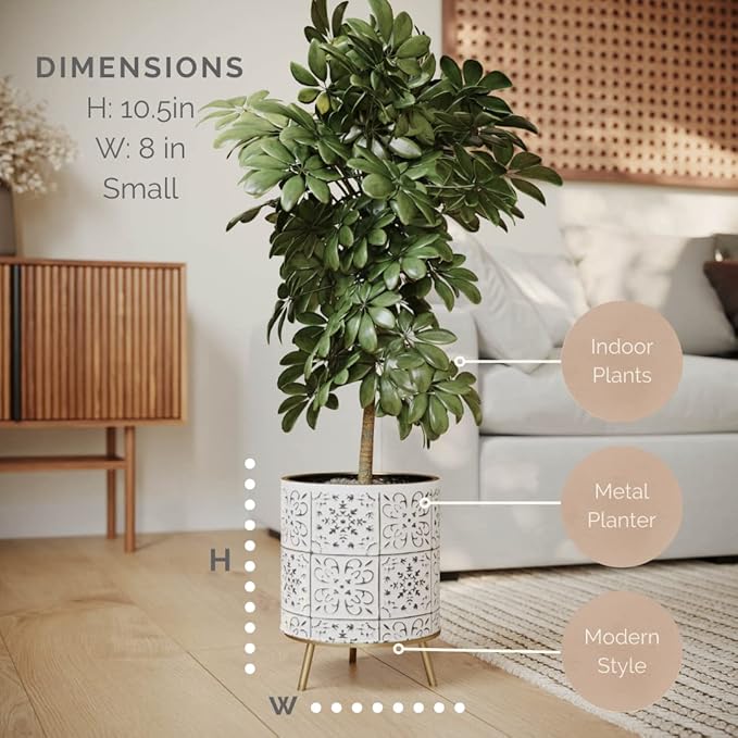 EverNest Tristan Neutral Minimal White and Black Modern Style Planter with Nyra Stand, SelectBase Plant Pots, Indoor Planter, Boho Home Decor, Minimalist Pot for Plants (Small, Gold)