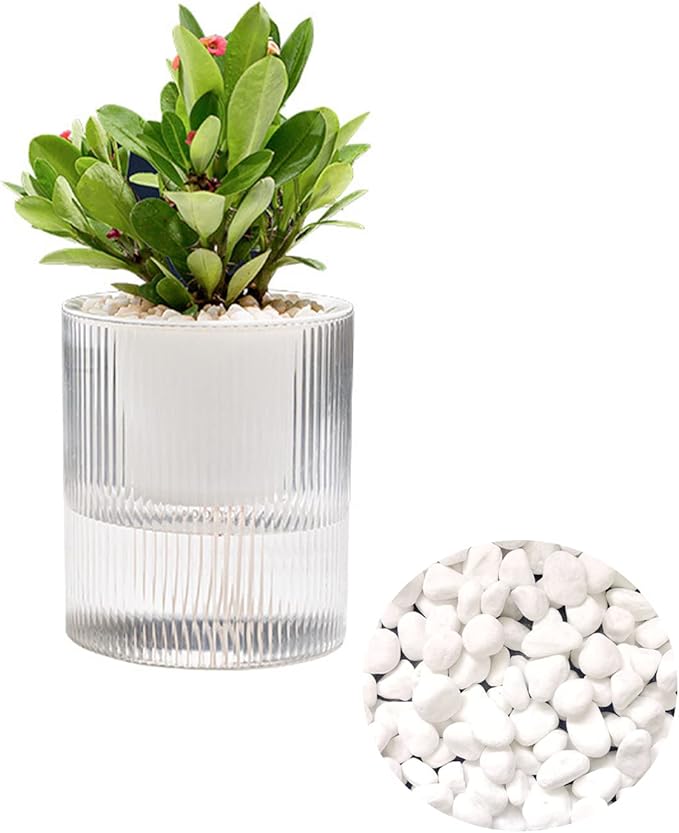 4.7 Inch Self Watering Pots,Clear Self-Watering Planters Box for Indoor Plants Flowers Outdoor Windowsill Gardens Comes with 1 Bag of White Pebbles