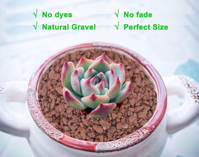 Boniosz 2lb Red Horticultural Lava Rock Soil Additive for Cacti, Vase Fillers, Succulents and Terrarium Plants - No Dyes or Chemicals - 100% Pure Volcanic Rock