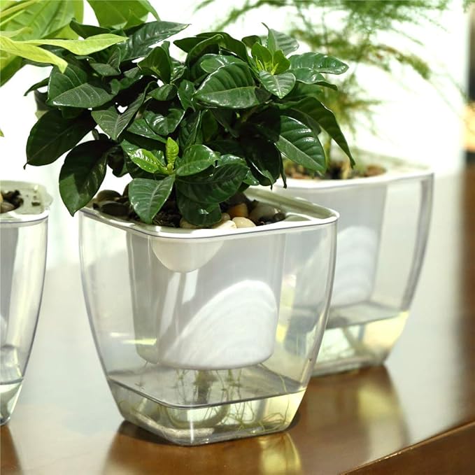 FENGZHITAO Self-Watering Planter, Clear Plastic Automatic-Watering Planter Flower Pot Square-Plant-Pot for All Plants, Succulents, Herb, African Violets, Flowers (Clear L)
