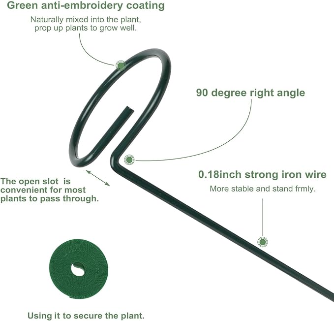 2 Pack Plant Support Sticks, 3 Sizes (12 or 24 or 36 inch) Garden Plant Stake, Plant Support Rings for Indoor Outdoor with Plants Ties, Plants Stakes for Flowers, Climbing Plants, Orchid