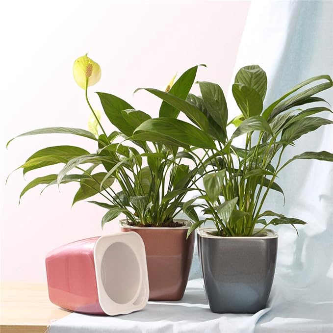 FENGZHITAO Self-Watering Planter, Plastic Automatic-Watering Planter Flower Pot Square-Plant-Pot for All Plants, Succulents, Herb, African Violets, Flowers (Colourful 004)