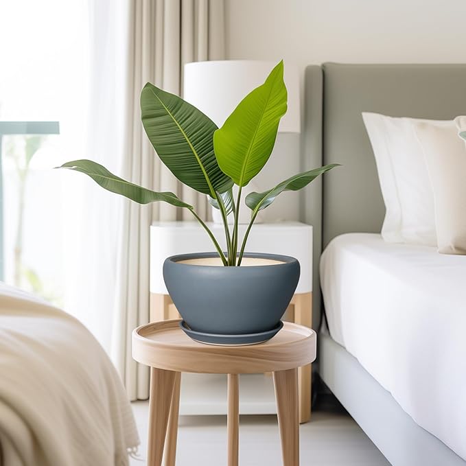 Ceramicfor Ceramic Pots for Plants - 9 Inch Planter for Outdoor Plants Large Plant Pot Indoor with Drainage Hole and Saucer Decorative Modern Flower Pot for Home Garden Decor Gray