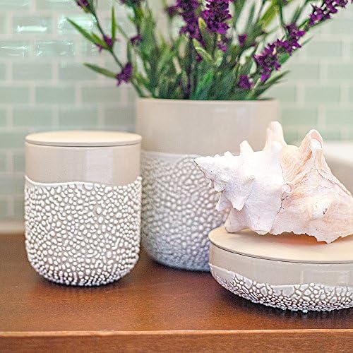 Hosley Lichen Box 6.5 Inches High Ivory - Ideal for Home Decor, Kitchen Decor, Office Decor - Perfect Storage Gift for Weddings, Knick-knacks, Trinkets, Planter, Garden Use