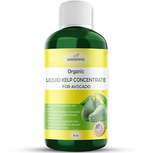 GARDENWISE Organic Premium Kelp Seaweed Fertilizer - Liquid Plant Food - Nutrient-Rich Soil Enhancer - Improves Fruit Yield and Quality - Natural Plant Food for Avocado Tree (8 OZ)