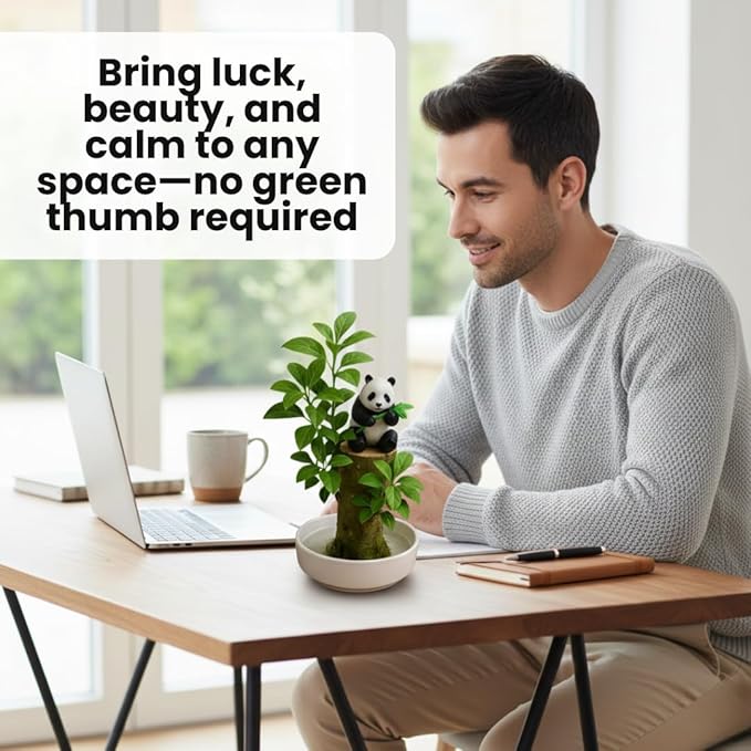 Lucky Money Desktop Tree with Water Tray and Panda Figurine - Living Valentine's Gift Lucky Willow Wood - Desk, Counter Top or Window - Brings Luck and Joy to Your Office or Home