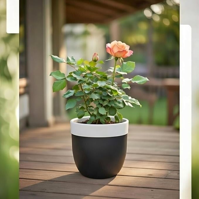 Hosley Grower Versa Pot - Your Choice of Color and Size. Ideal for Weddings Party Home Decor Office Spa K9 (6.5", Black)