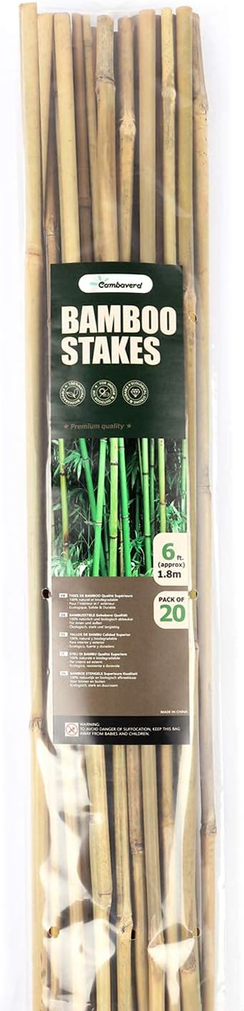 Cambaverd 6ft Bamboo Garden Stakes Eco-Friendly Plant Stakes 6 Feet, Bamboo Poles for Tomatoes Beans Climbing Plants Support - Pack of 20 Bamboo Stakes