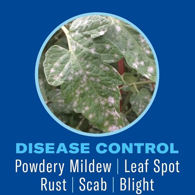 Baby Bio Houseplant Food, Concentrate, 5.9 Oz (3-Pack) with BioAdvanced Houseplant Insect & Mite Control, Ready-to-Use, 24 oz