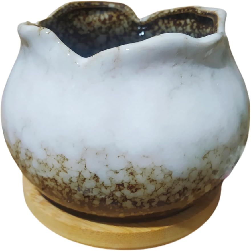 Cute Circular Ceramic Home Garden Decoration Succulent Cactus Flower Pots Container with Bamboo Tray -Plant Not Included (White, 4 Inch)