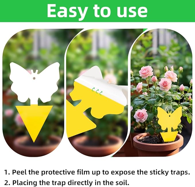 36 Pcs Sticky Traps for Fungus Gnat (Plants), Fruit Fly, Whitefly, and Fly, Yellow Sticky Insect Catcher Traps for Indoor/Outdoor, Kitchen, and Plants, High-End Glue, Non-Toxic (36 Pcs Yellow)