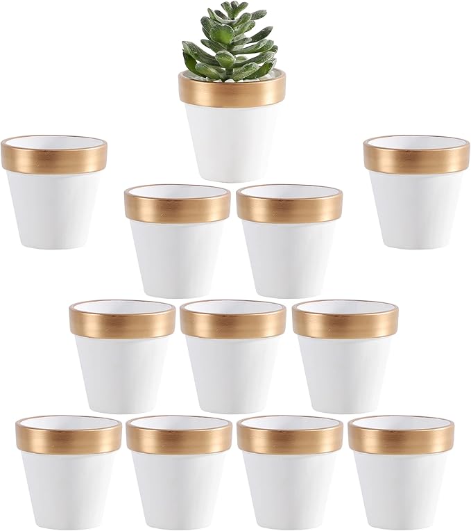 Yishang 2.5 inch White&Gold Terracotta Pots with Drainage Holes,Small Mini Clay Ceramic Pottery Planter,Cactus Flower Terra Cotta Pots,Succulents Nursery Pots for Indoor/Outdoor Plants,Crafts-12 Pack