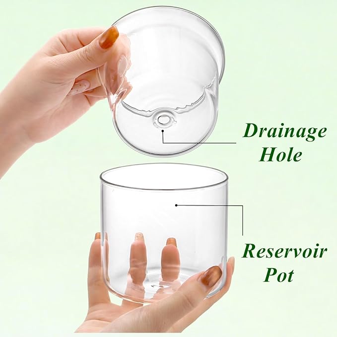 Tebery 2 Pcs Clear Plant Pots, 3.75 Inch Glass Nursery Pots with Drainage Saucer, Indoor Self Watering Planters for Houseplants African Violet Orchid Succulents, Ideal for Garden Home Decor