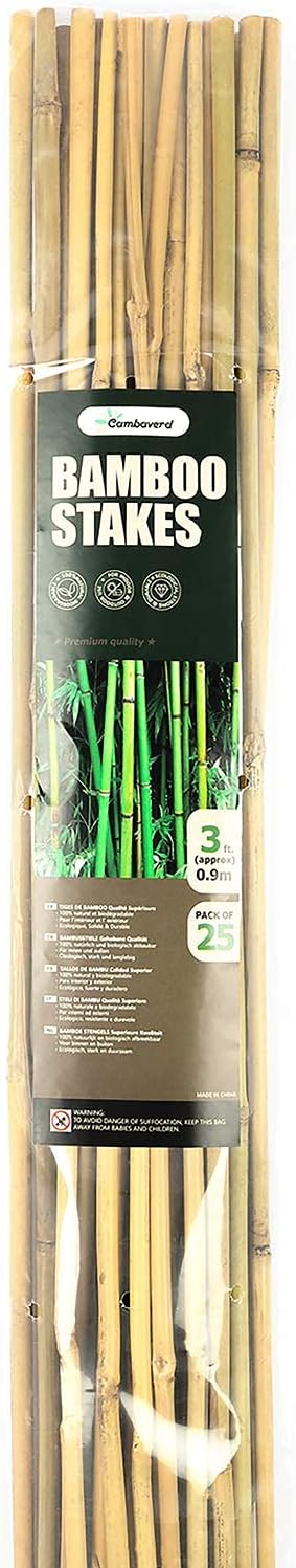 Cambaverd Bamboo Garden Stakes 3 Feet Plant Stakes for Roma Tomatoes Sunflowers Beans Potted and Climbing Plants - Pack of 25 Bamboo Sticks