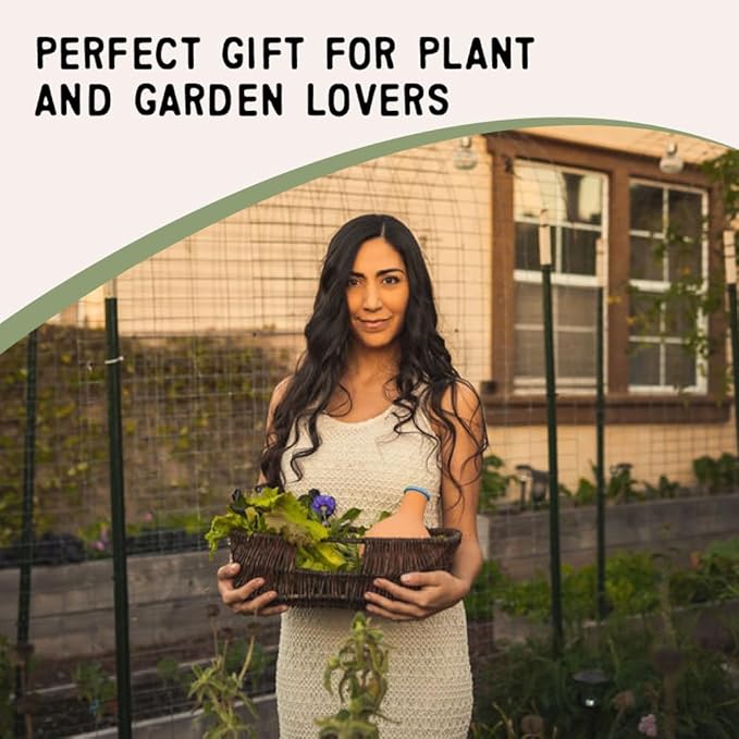 Growoya Garden OYA Medium Watering Pot Plant Irrigation System Sustainable Traditional Olla Watering Smart Underground Watering Available for Garden Beds Raised Beds and Grow Bags