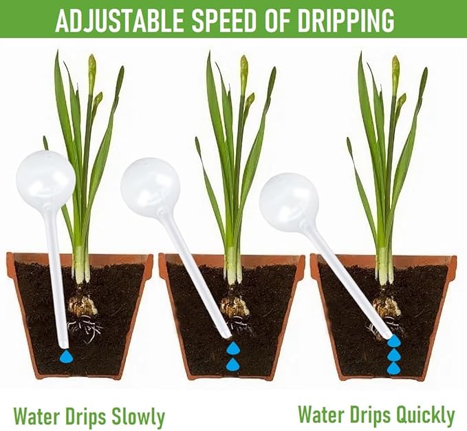 Plant Watering Globes, Self Watering Bulbs for Indoor & Outdoor Plants, Plastic Self-Watering Balls Automatic Water Irrigation Device (Clear, Large 6 Pack)